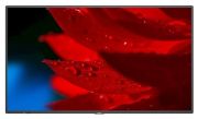 NEC MultiSync MA431 NEC MultiSync MA431