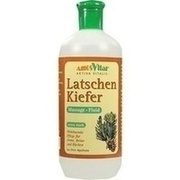 LATSCHENKIEFER