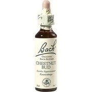 Nelsons BACHBLUETEN CHESTNUT BUD TROPFEN 20 ML Nelsons BACHBLUETEN CHESTNUT BUD TROPFEN 20 ML