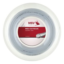 MSV