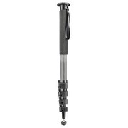 Walimex