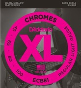 D'Addario