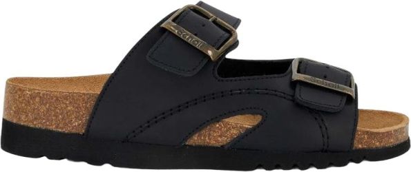 Scholl