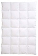Centa-Star Ambiente 4 x 6 extra warm 135 x 200 cm Centa-Star Ambiente 4 x 6 extra warm 135 x 200 cm