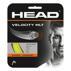 Head