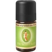 Primavera Life Rose afghanisch bio 10% 5 ml Primavera Life Rose afghanisch bio 10% 5 ml