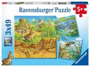 Ravensburger