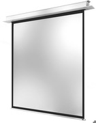 celexon Deckeneinbau Motor Pro Plus 240 x 240 cm celexon Deckeneinbau Motor Pro Plus 240 x 240 cm