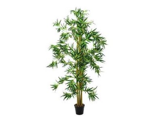 Europalms