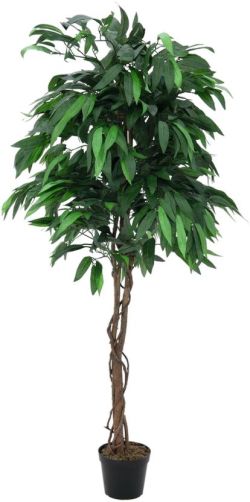 Europalms