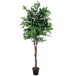Europalms