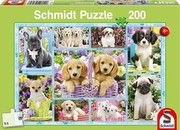 Schmidt