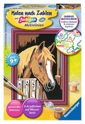 Ravensburger