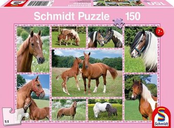 Schmidt