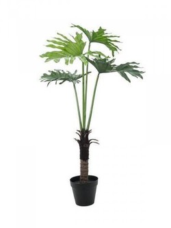 Europalms