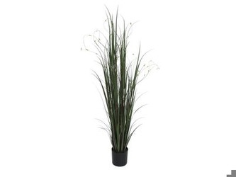 Europalms