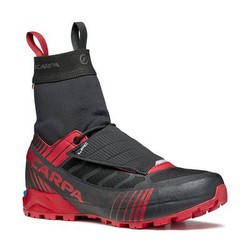Scarpa
