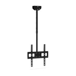 Delight