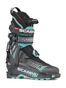 Scarpa