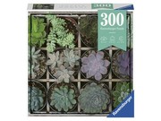 Ravensburger