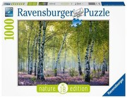 Ravensburger