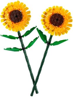 LEGO Sonnenblumen (40524) LEGO Sonnenblumen (40524)