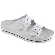 Scholl