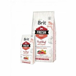 Brit Fresh Beef with Pumpkin Puppy Large 2,5 kg Brit Fresh Beef with Pumpkin Puppy Large 2,5 kg