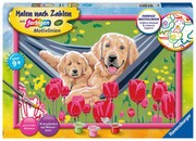 Ravensburger