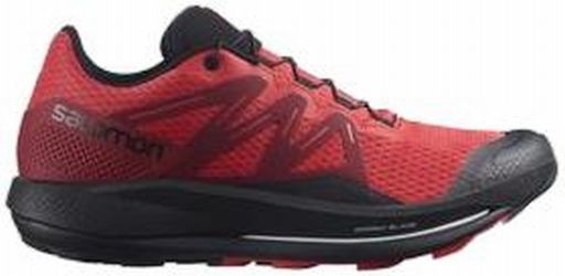Salomon