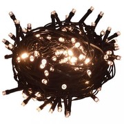 vidaXL Lichterkette mit 1000 LEDs 100 m 8 Lichteffekte IP44 vidaXL Lichterkette mit 1000 LEDs 100 m 8 Lichteffekte IP44