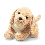 Steiff