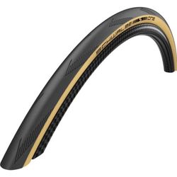 Schwalbe