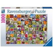 Ravensburger
