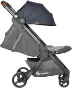 Ergobaby