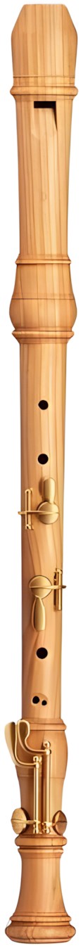 Mollenhauer Denner Comfort 5431C
