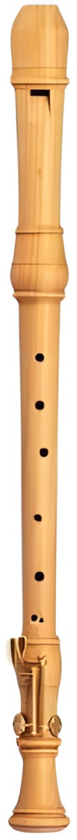 Mollenhauer