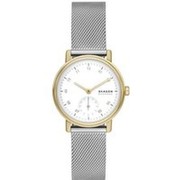 Skagen