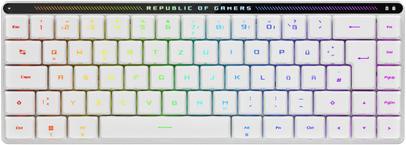 ASUS ROG Falchion RX Low Profile (90MP03EC-BKDA10)