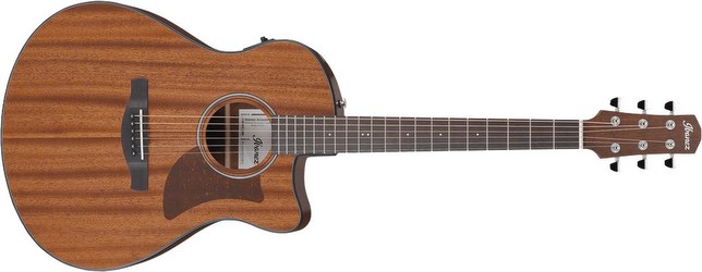 Ibanez AAM54CE