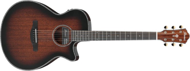 Ibanez AEG74