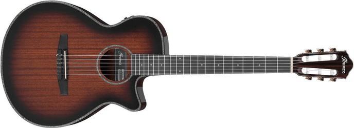 Ibanez AEG74N