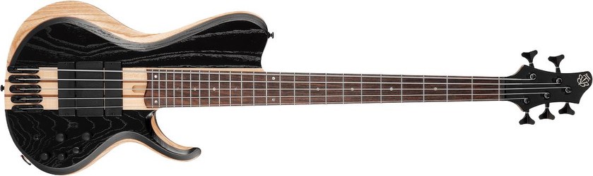 Ibanez