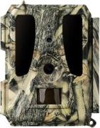Dörr