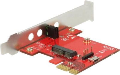 Delock PCI Express x1 Karte > 1 x intern M.2 Key E (89889)