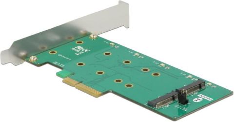 Delock PCI Express x4 Karte > 2 x intern M.2 Key B mit RAID (89536)
