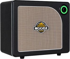 Mooer Hornet 15i