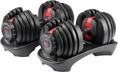 Bowflex SelectTech 552i Kurzhantel