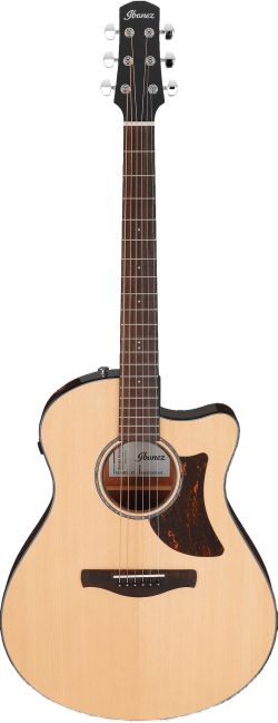 Ibanez AAM300CE