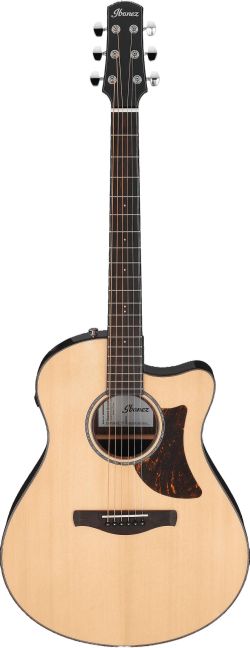 Ibanez